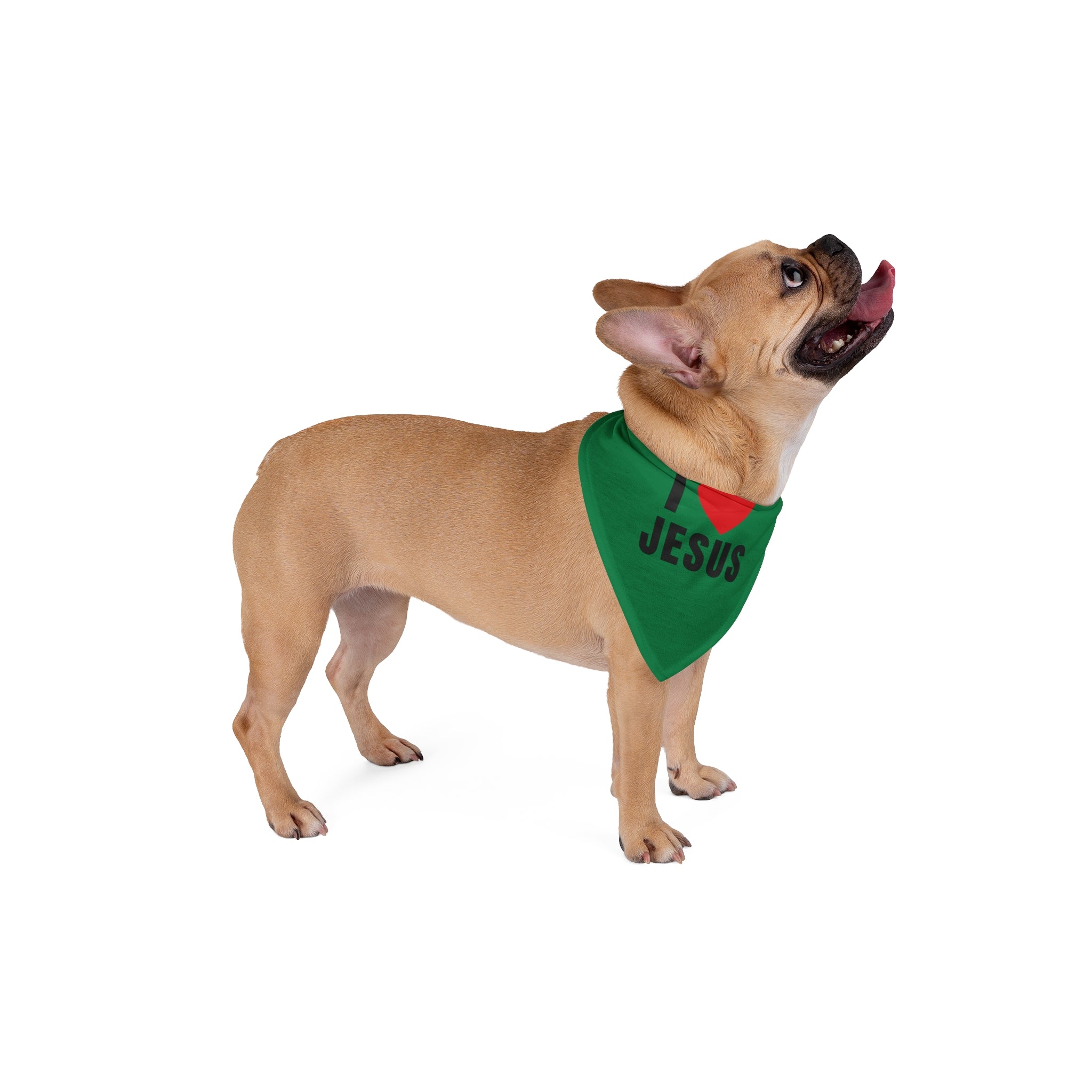 Pet Bandana — "I  Jesus" Christian Dog Bandana