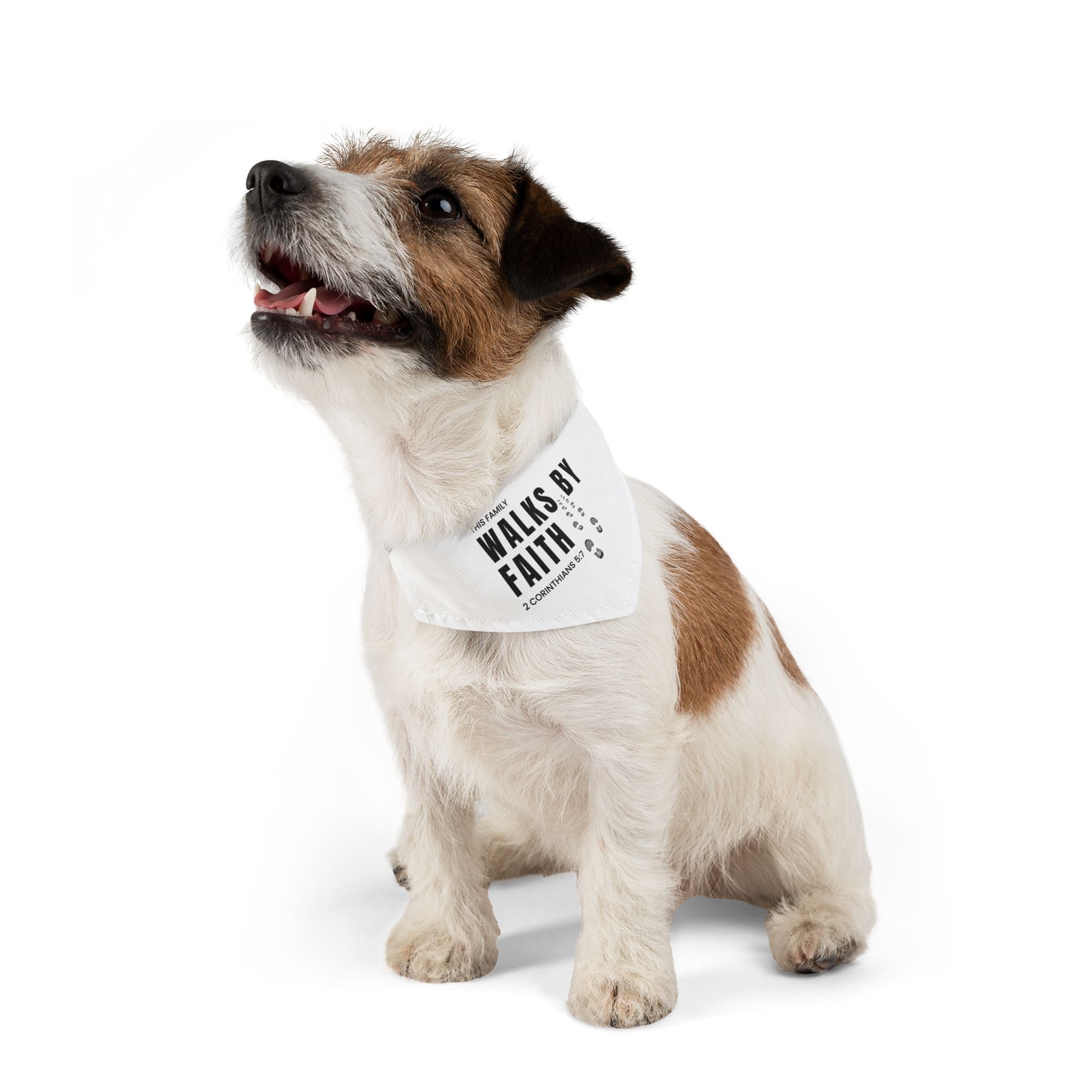 Pet Bandana — "This Family Walks by Faith" Christian Dog Collar Bandana